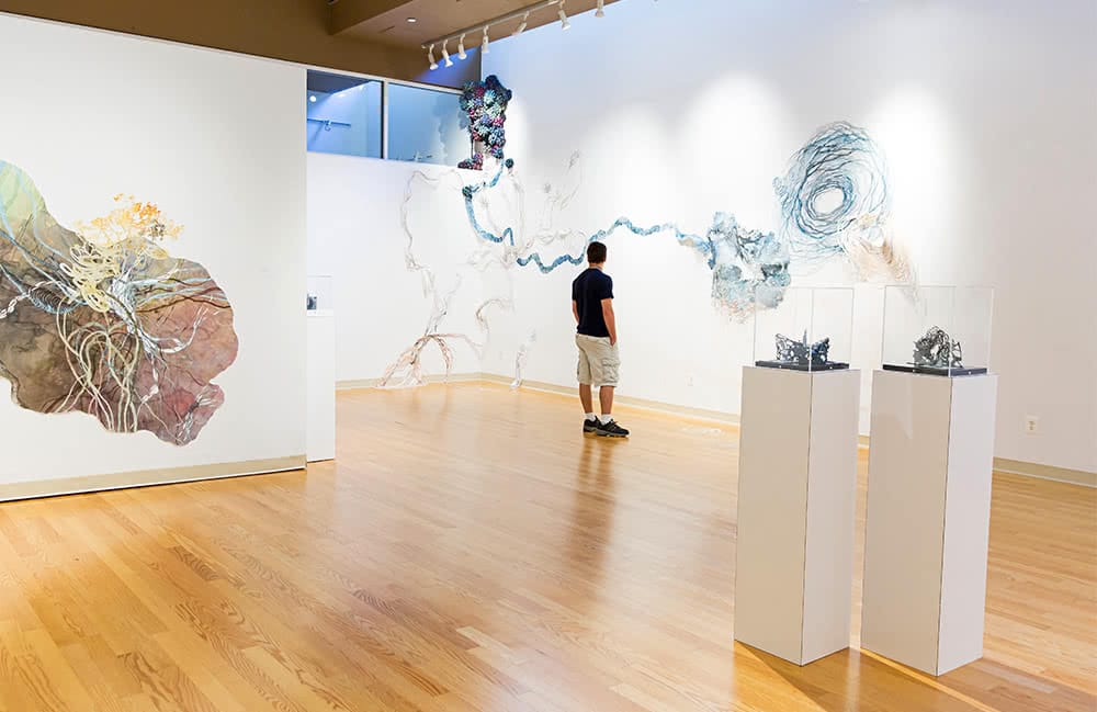 A student looks at art on the wall in the Julio Fine Arts Gallery