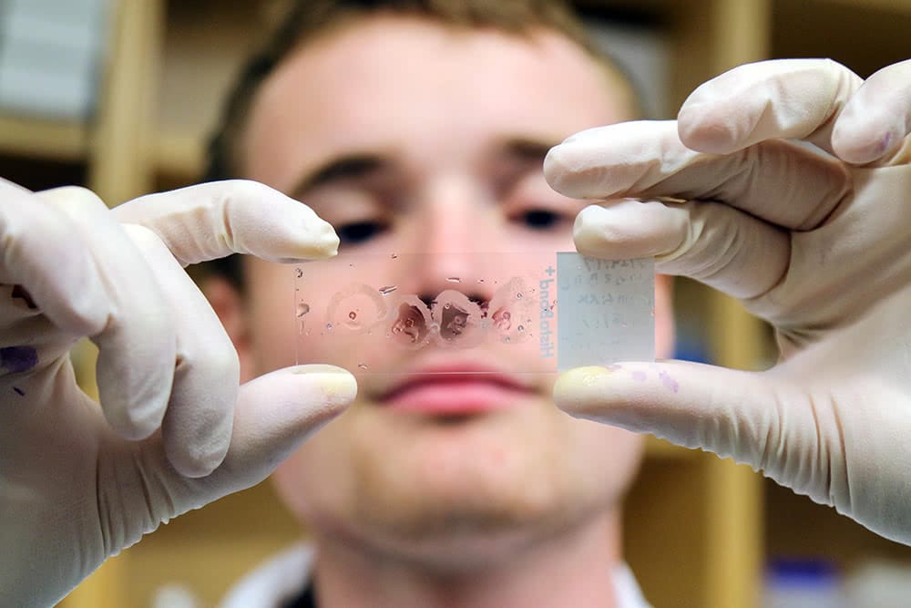 A student holding up and looking a microscope slide