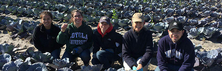 Students harvesting crops