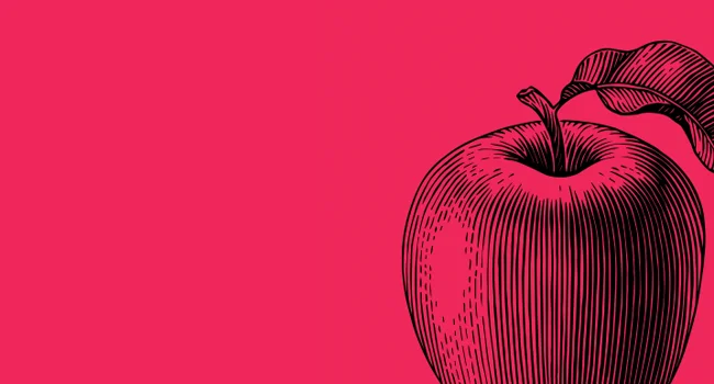 Illustration of an apple