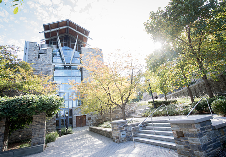 Sellinger School of Business