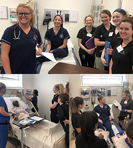 Interprofessional simulation lab