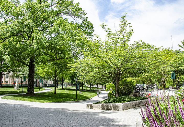 The Quad on Loyola's Evergreen campus