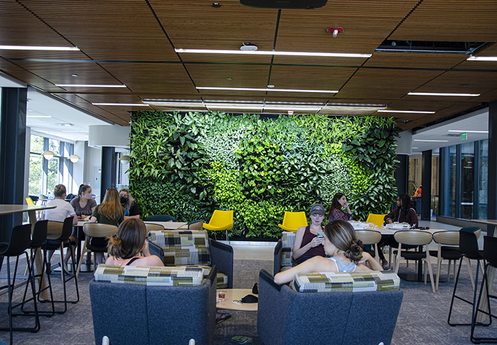 Students gather in the Fernandez Center