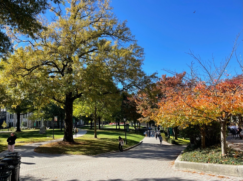 Loyola University Maryland