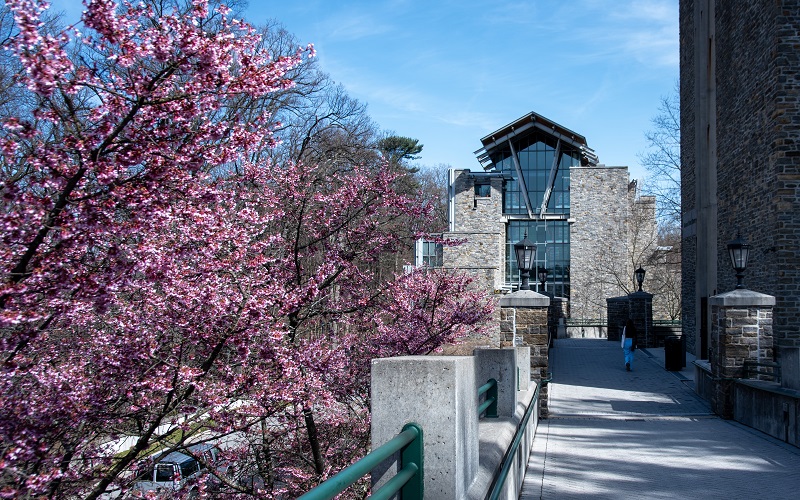 Pink blossoms on a tree frame the Sellinger School building