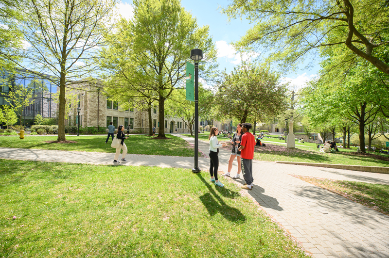 sunny day on the Quad