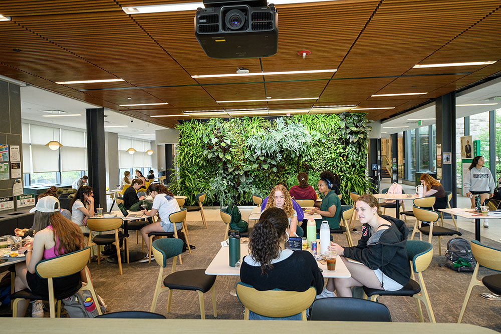 Students studying at the Green and Grey Café inside of the Fernandez Center.