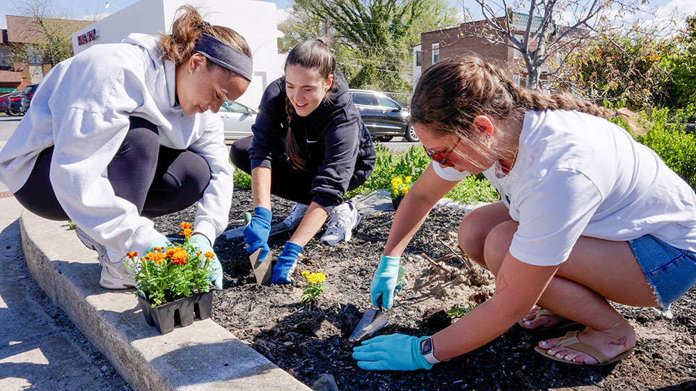 Loyola students participate in a clean-up event along York Road