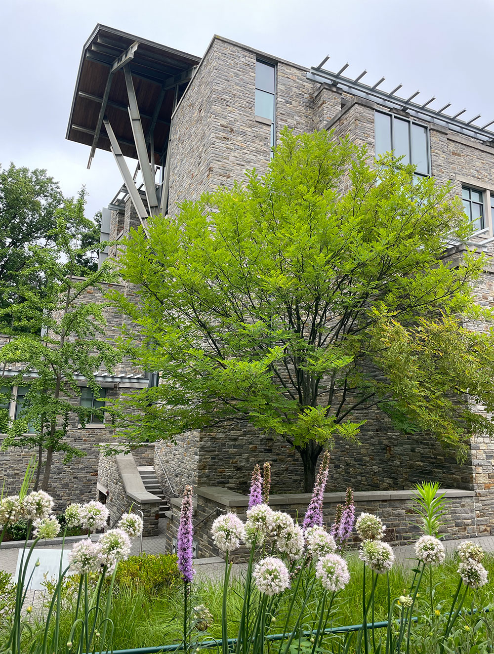Loyola University Maryland's Sellinger School of Business and Management in the summer (photo by Rita Buettner)
