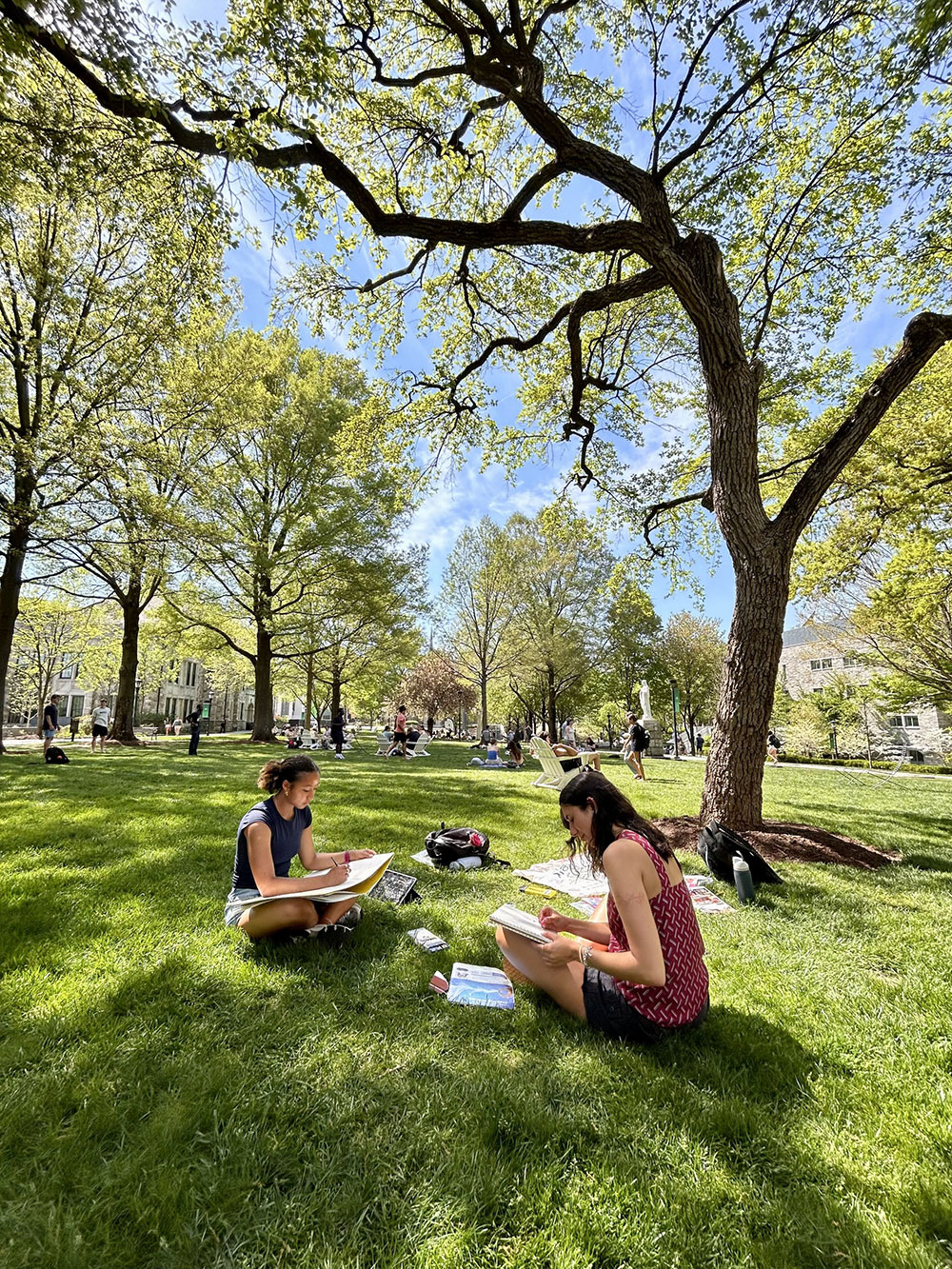 Students studying on the Quad