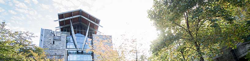 The Sellinger School building against a bright sky