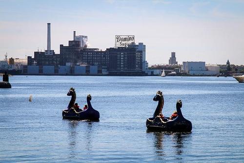 Dragon paddle boats in Baltimore's Inner Harbor