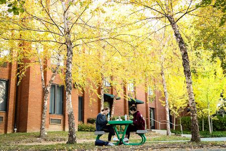 Two students studying outside in the fall