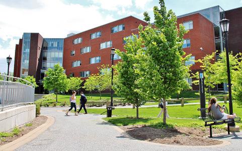 Students walking on campus on a sunny day