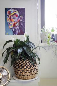 A plant and painting in a dorm room
