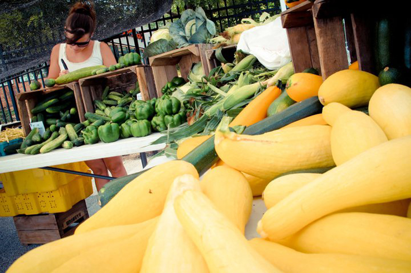 Yellow squash for sale at the Govans Farmers Market